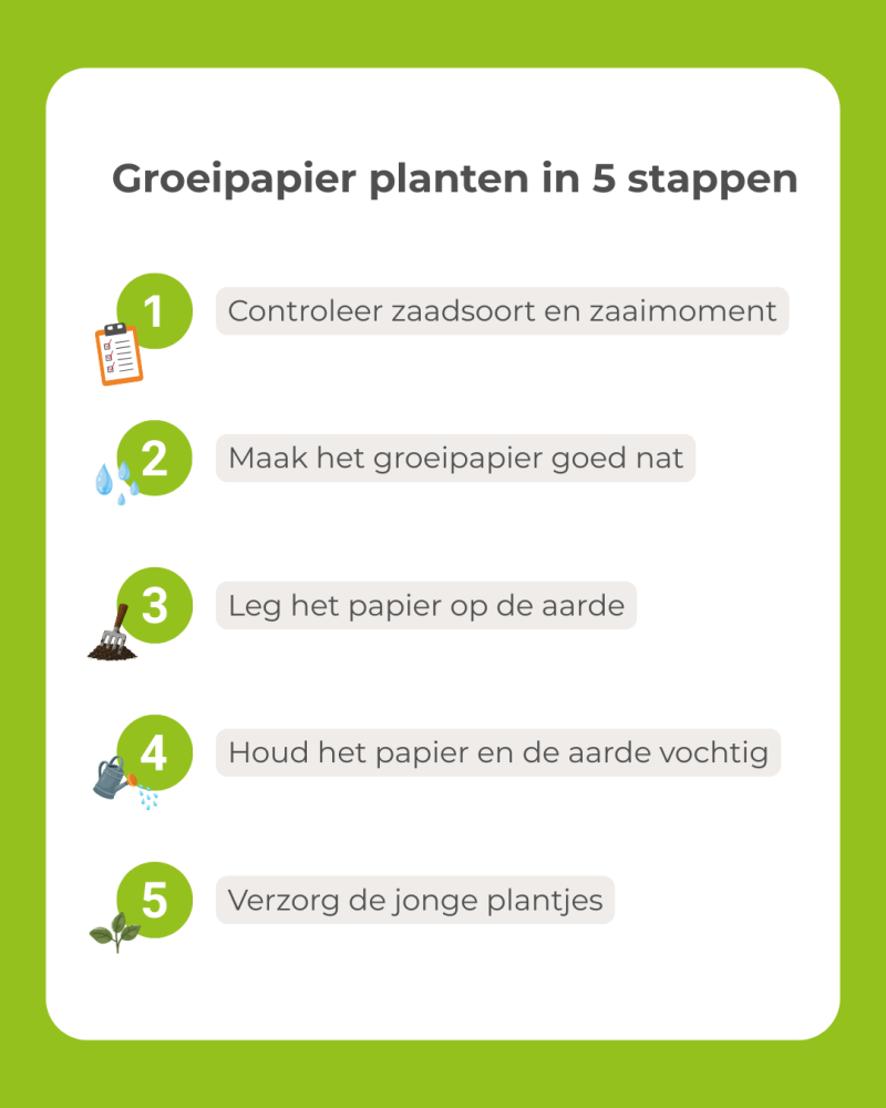 Groeipapier planten in vijf stappen