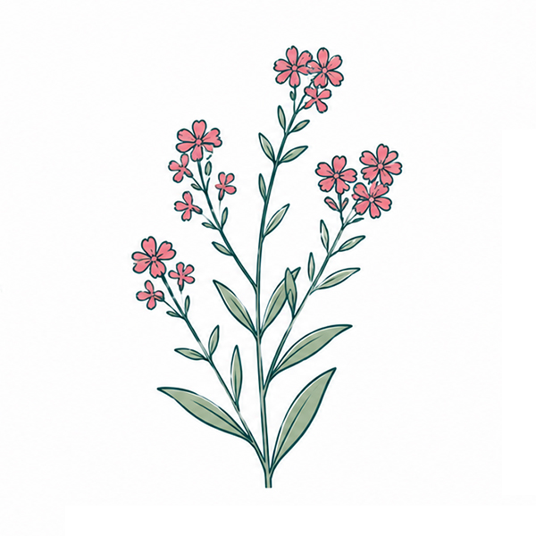 Brievenbus groeiset - Afbeelding 6