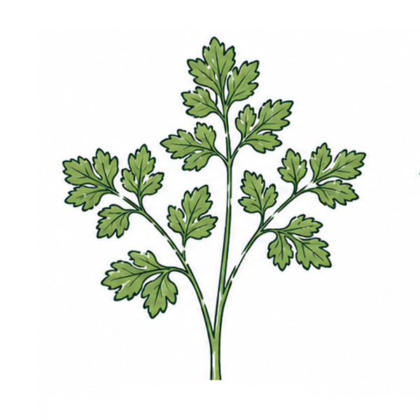 Brievenbus groeiset - Afbeelding 19