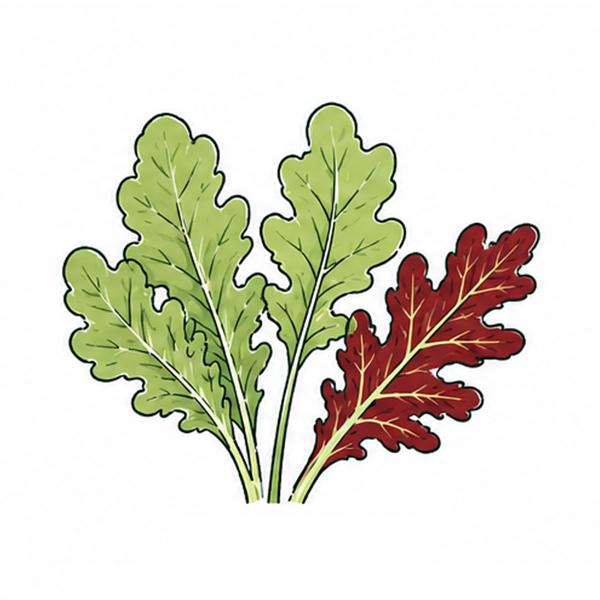 Brievenbus groeiset - Afbeelding 13