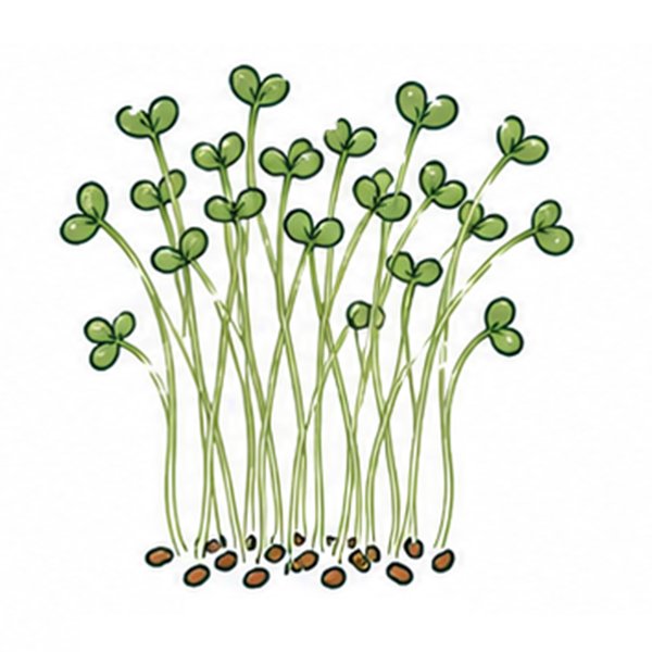 Brievenbus groeiset - Afbeelding 25