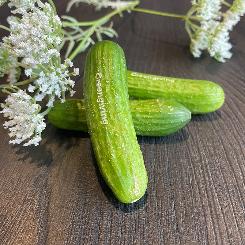 Snack komkommer - Afbeelding 2