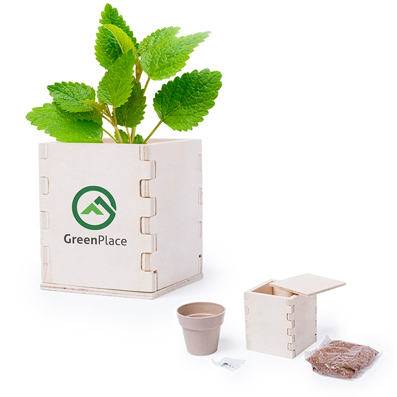Houten bloempot met munt | Eco - Greengiving.be