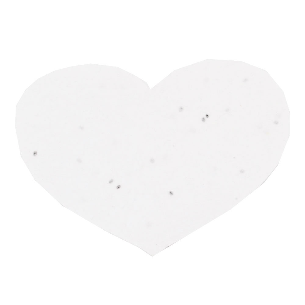 Groeipapier hart A6 - Afbeelding 4