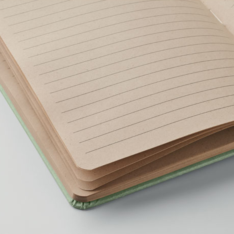 Notitieboek van suikerriet - Afbeelding 2