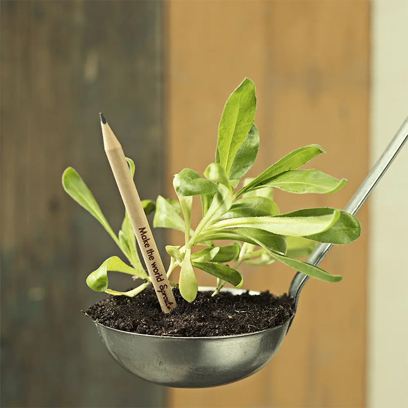 Sprout potlood - Afbeelding 3