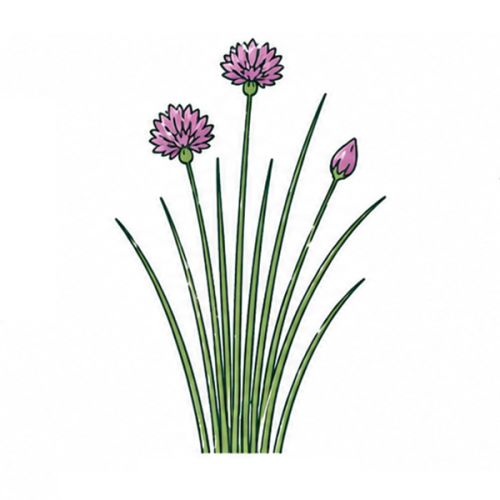 Brievenbus groeiset - Afbeelding 21