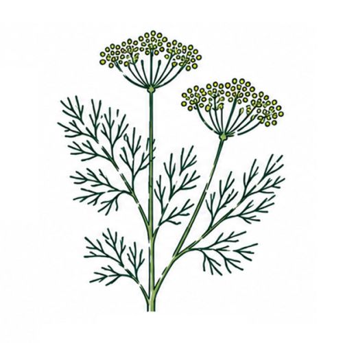 Brievenbus groeiset - Afbeelding 22