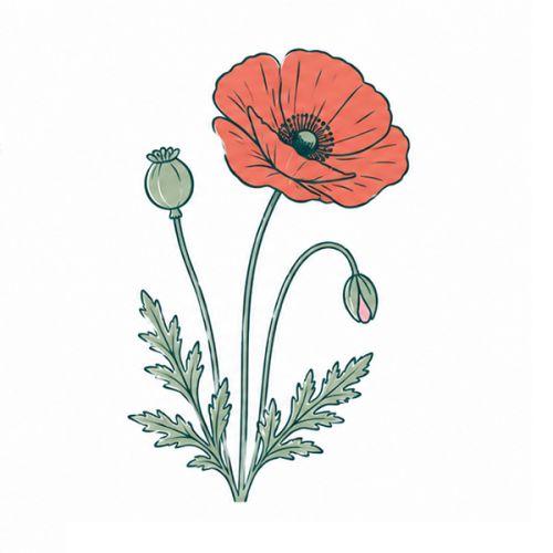 Brievenbus groeiset - Afbeelding 7
