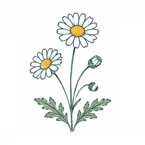 Brievenbus groeiset - Afbeelding 9