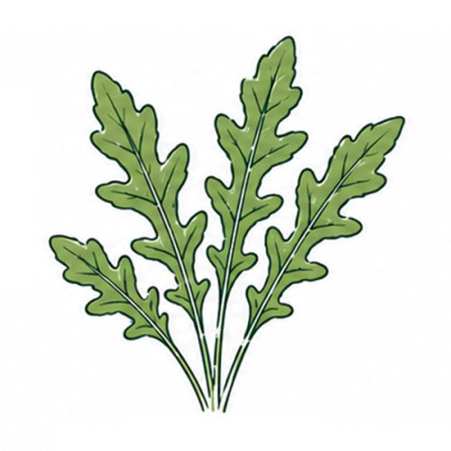 Brievenbus groeiset - Afbeelding 23