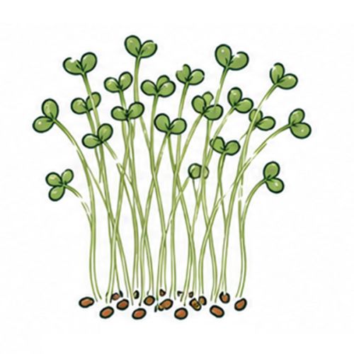 Brievenbus groeiset - Afbeelding 25