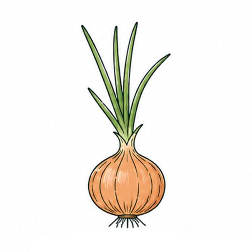 Brievenbus groeiset - Afbeelding 14