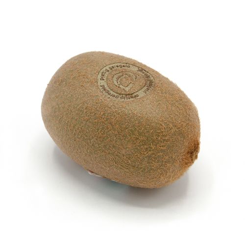 Kiwi met logo - Afbeelding 1