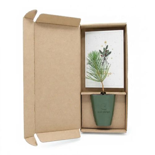 Boomgeschenk in doosje met logo | Kerst - Afbeelding 1