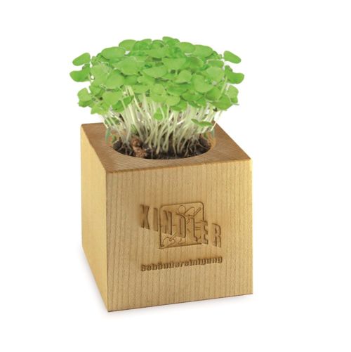 Plantenset Maxi - Afbeelding 5