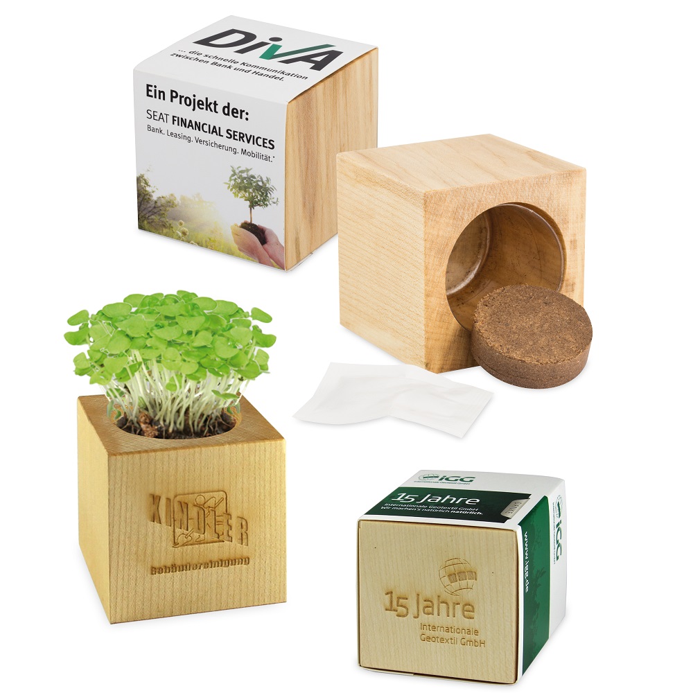 Plantenset Maxi | Eco relatiegeschenk